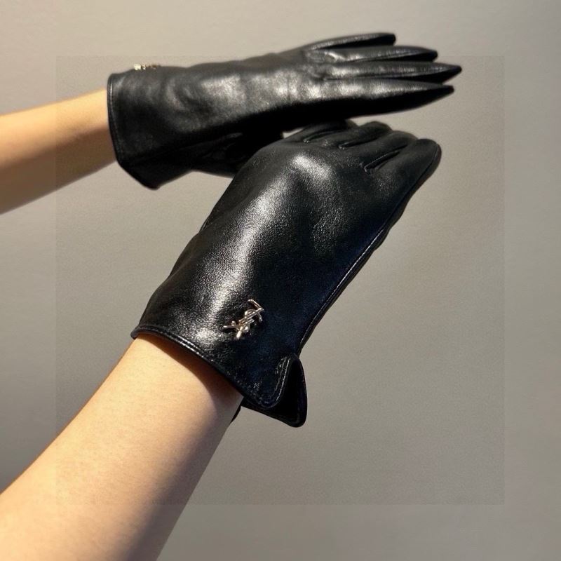 YSL Gloves