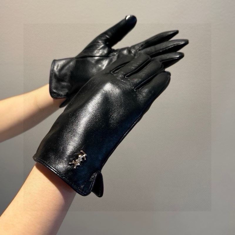 YSL Gloves