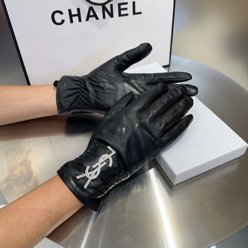 YSL Gloves