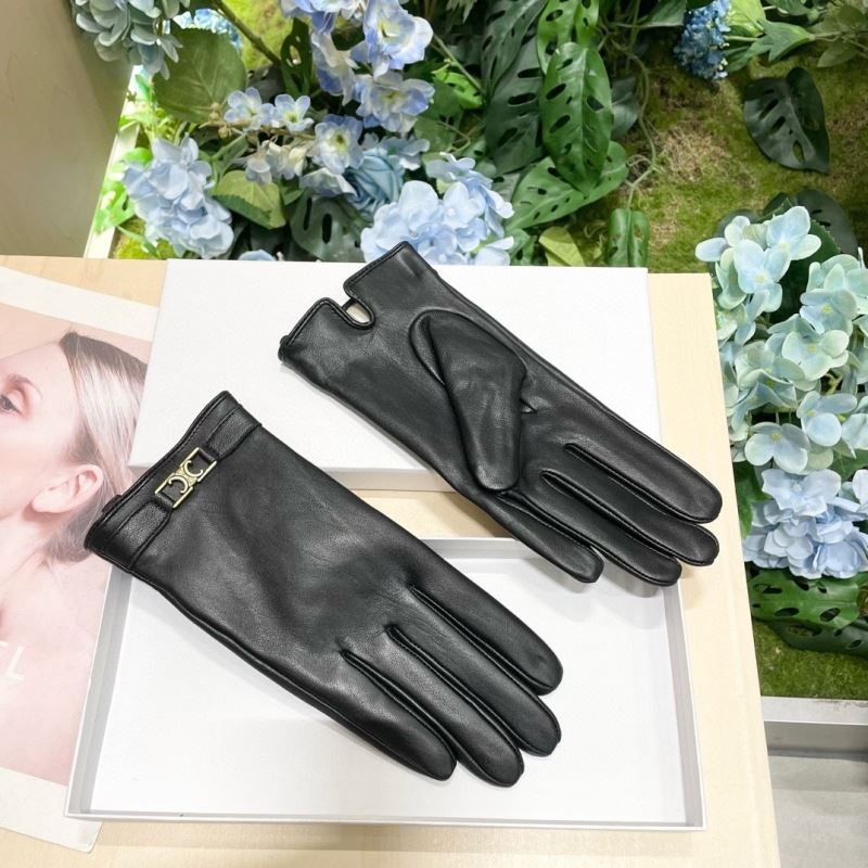 Celine Gloves