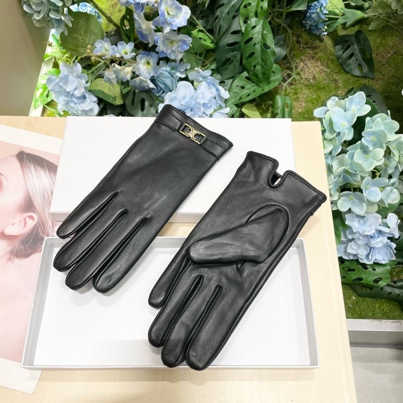 Celine Gloves